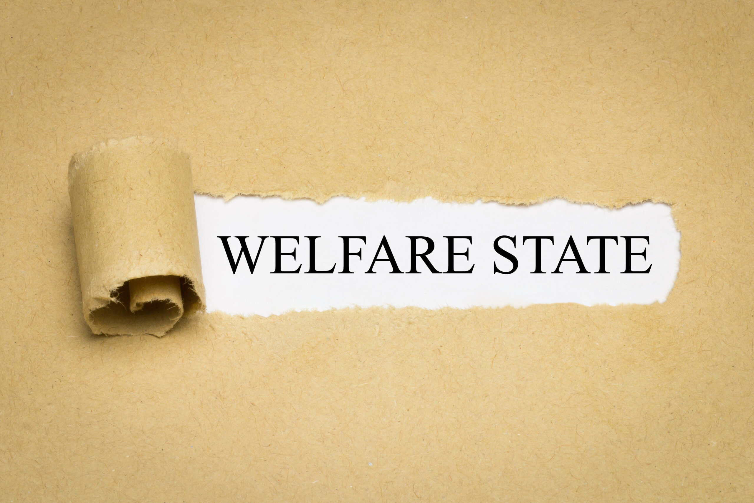 STOP The Dems’ Welfare State 😵