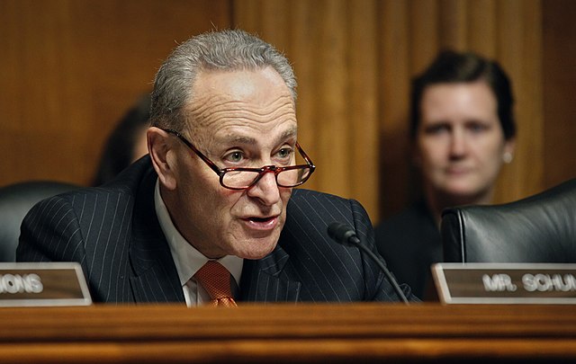 Schumer’s Latest Folly 👎
